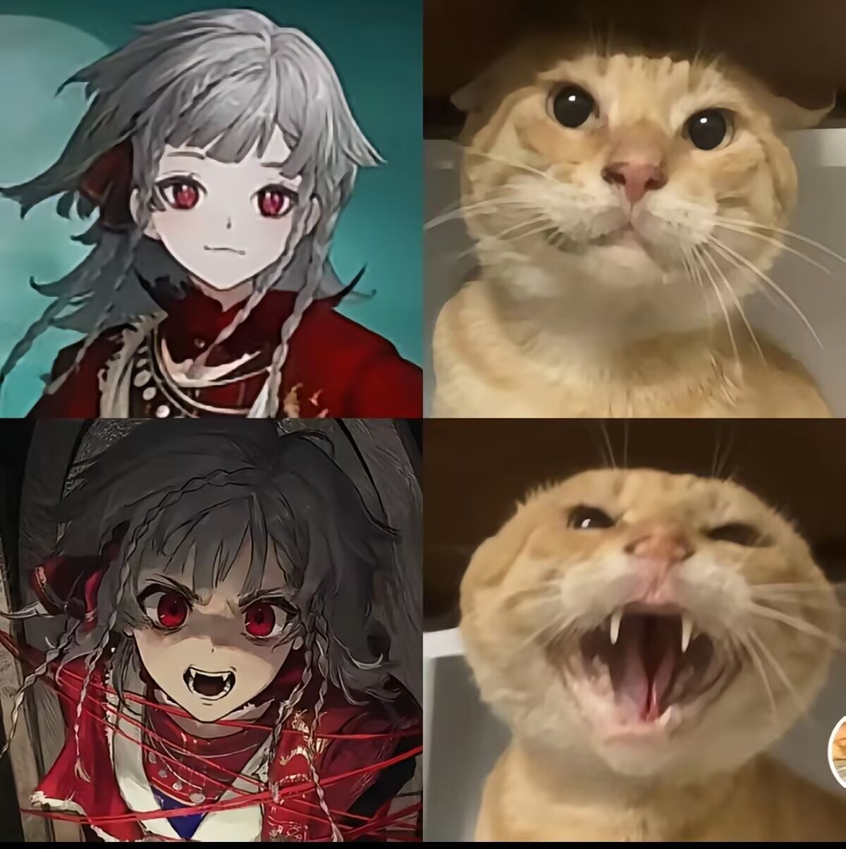 野树莓